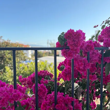 Magnolia With Terrace And Sea Views Villa *